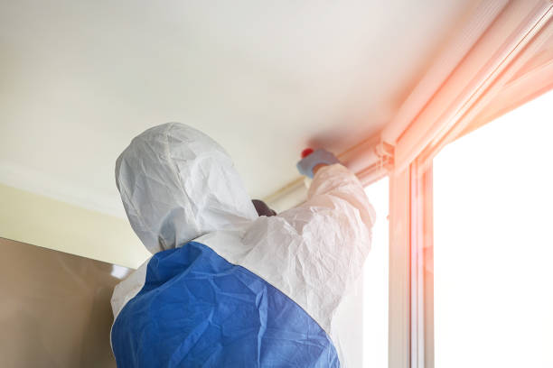 Best Attic Mold Removal  in Brock Hall, MD